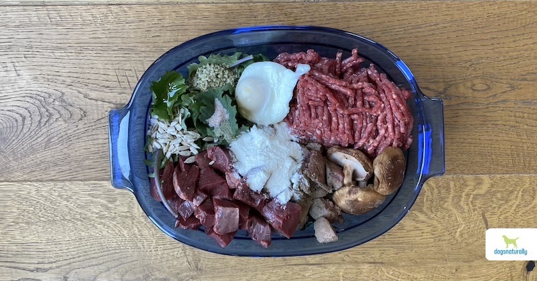 beef adult dog food recipe