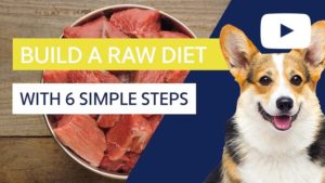 raw diet for dogs